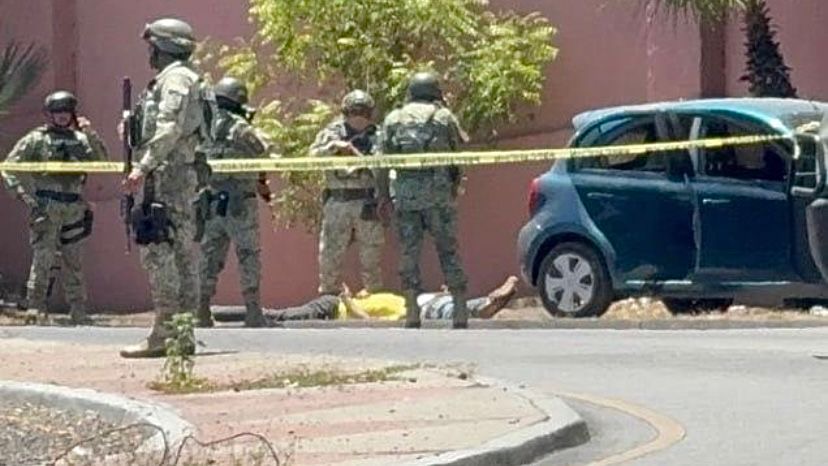 1317e540-8886-4538-87ea-cf4bd2c7cc4b