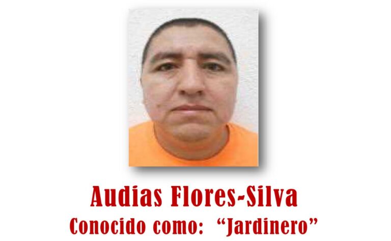 audias-flores-silva-alias-el-jardinero