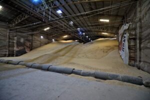 IMG-20260612-WA0039